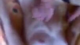 Неверная худенькая любимая как шалава жахается с юным сильным парнем